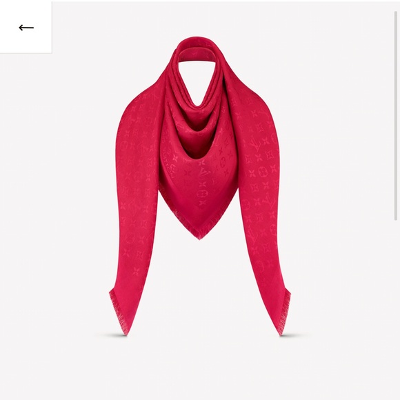 Louis Vuitton Scarf - Picture 1 of 2